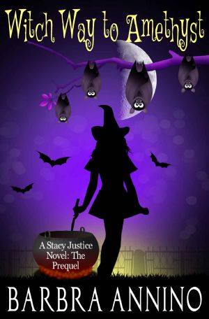 [A Stacy Justice Mystery 00] • Witch Way to Amethyst